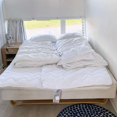 Holiday home Swanky In Hemmet With Sauna Falen